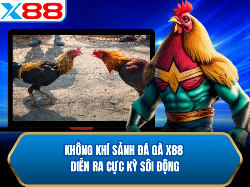 Không khí sảnh đá gà X88 diễn ra cực kỳ sôi động